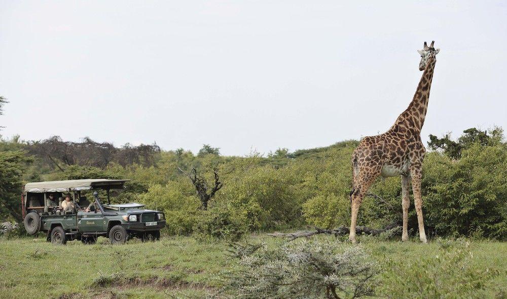 Encounter Mara Camp Hotel Maasai Mara Exterior photo